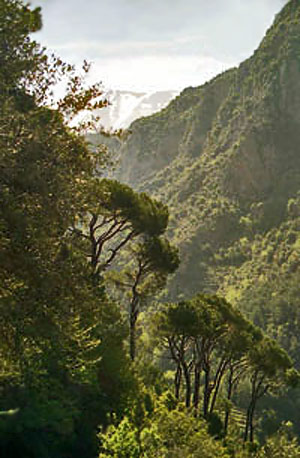 valley